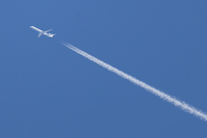 EI-HIA